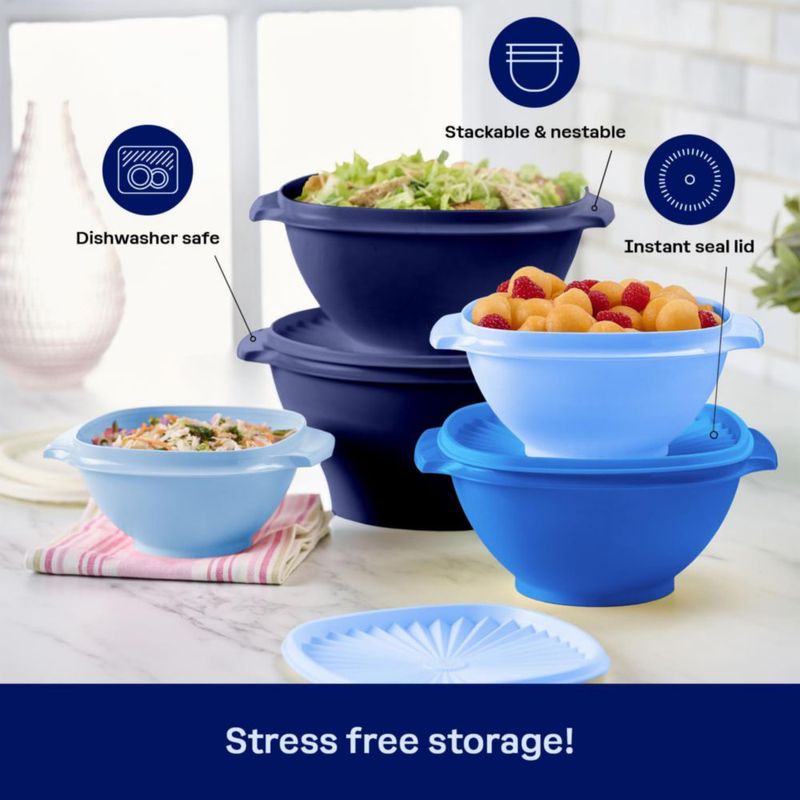Juego de Almacenamiento de Alimentos Tupperware 10 Piezas Vintage Azul
