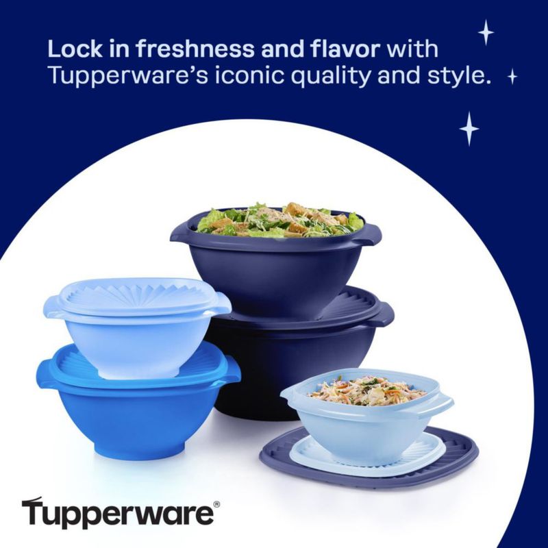 Juego de Almacenamiento de Alimentos Tupperware 10 Piezas Vintage Azul