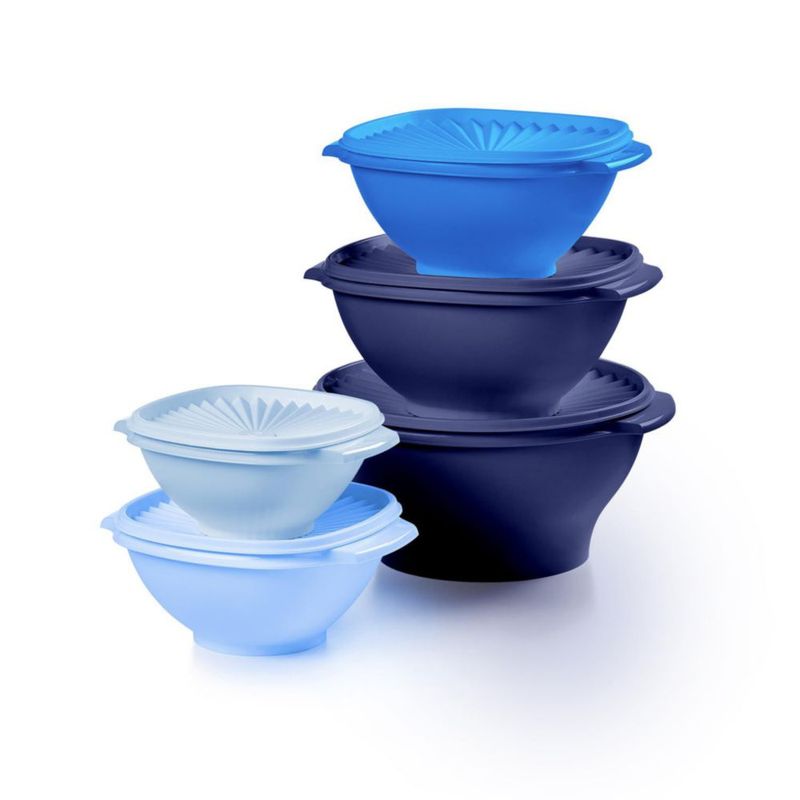 Juego de Almacenamiento de Alimentos Tupperware 10 Piezas Vintage Azul