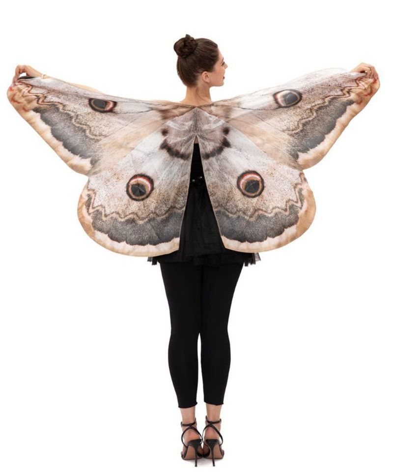 Alas de Polilla para Disfraz Seasons 170 cm x 74 cm Talla Única