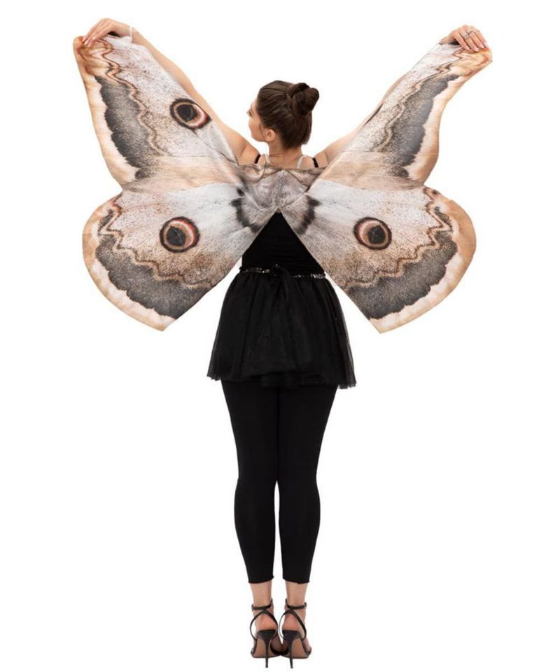 Alas de Polilla para Disfraz Seasons 170 cm x 74 cm Talla Única