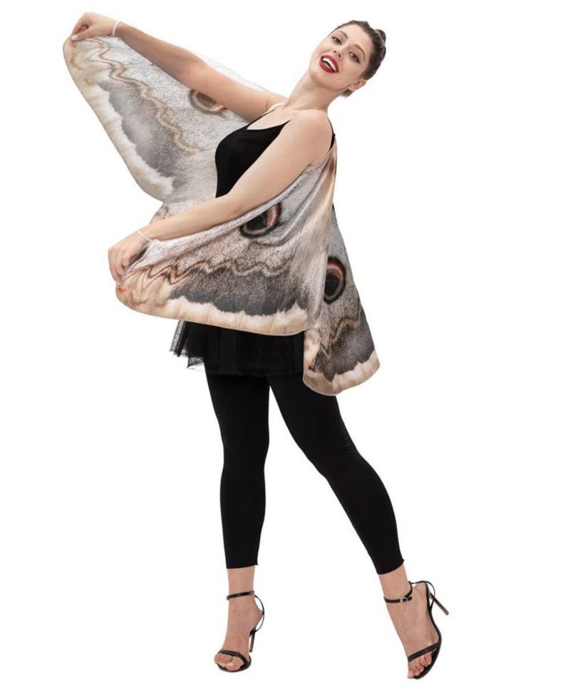 Alas de Polilla para Disfraz Seasons 170 cm x 74 cm Talla Única