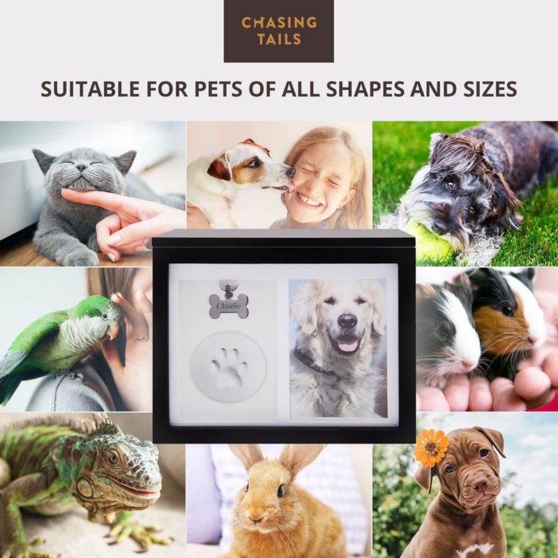 Caja de Recuerdo para Mascotas Chasing Tails Hasta 43 kg con Marco Fotográfico