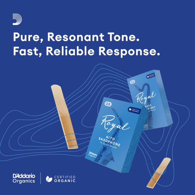 Cañas de clarinete D'Addario Royal 3.0 – paquete de 10