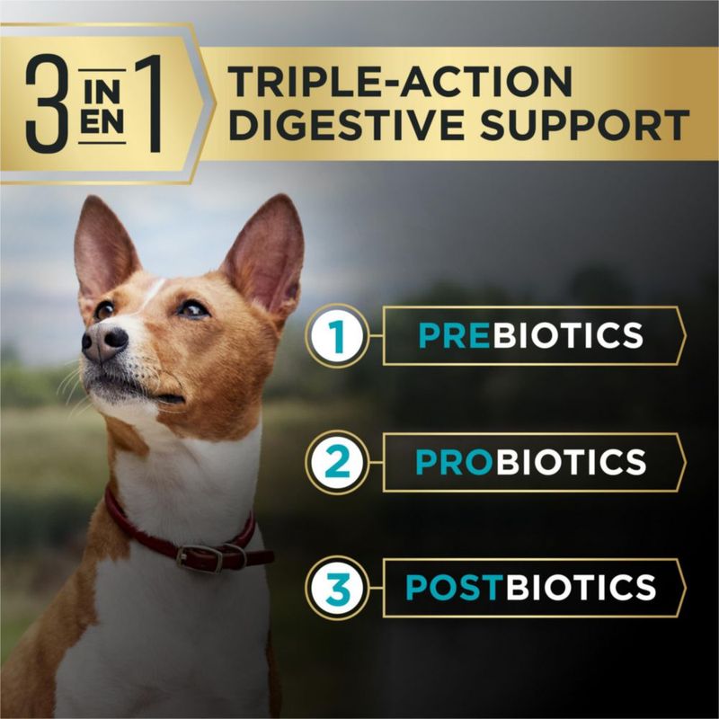 Alimento para perros Purina Pro Plan 54 kg Soporte Digestivo