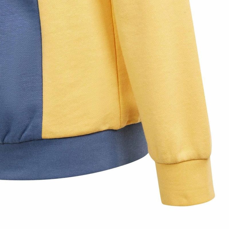 Sudadera adidas j cb ft hd para niños. is2689