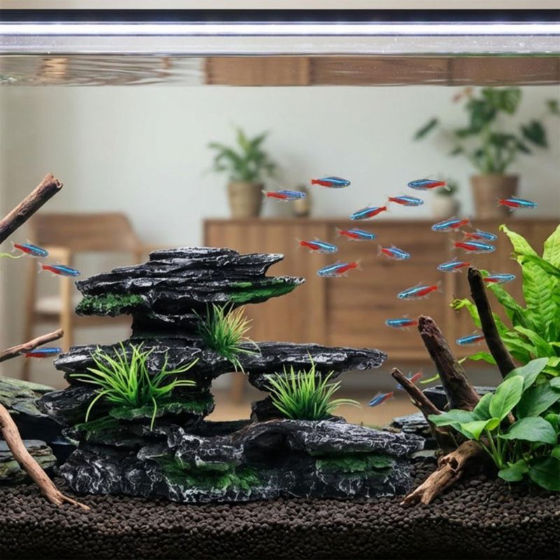 Decoración para Acuario Aquazoo 12 cm × 20 cm × 7 cm