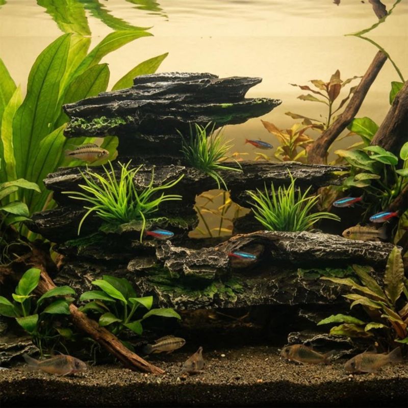 Decoración para Acuario Aquazoo 12 cm × 20 cm × 7 cm