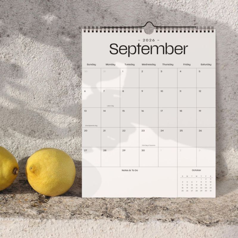 Calendario de pared ZICOTO 2026-2027 grande 37 x 29 cm