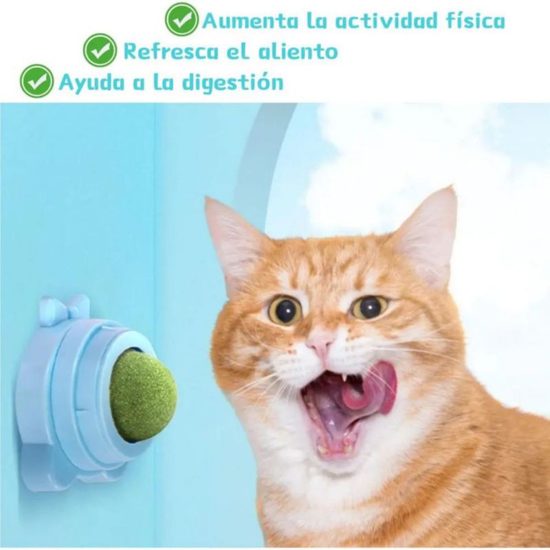 Bola Giratoria Con Hierba Gatera Para Aliviar El Estrés 4 Pzs De Gatos Verde
