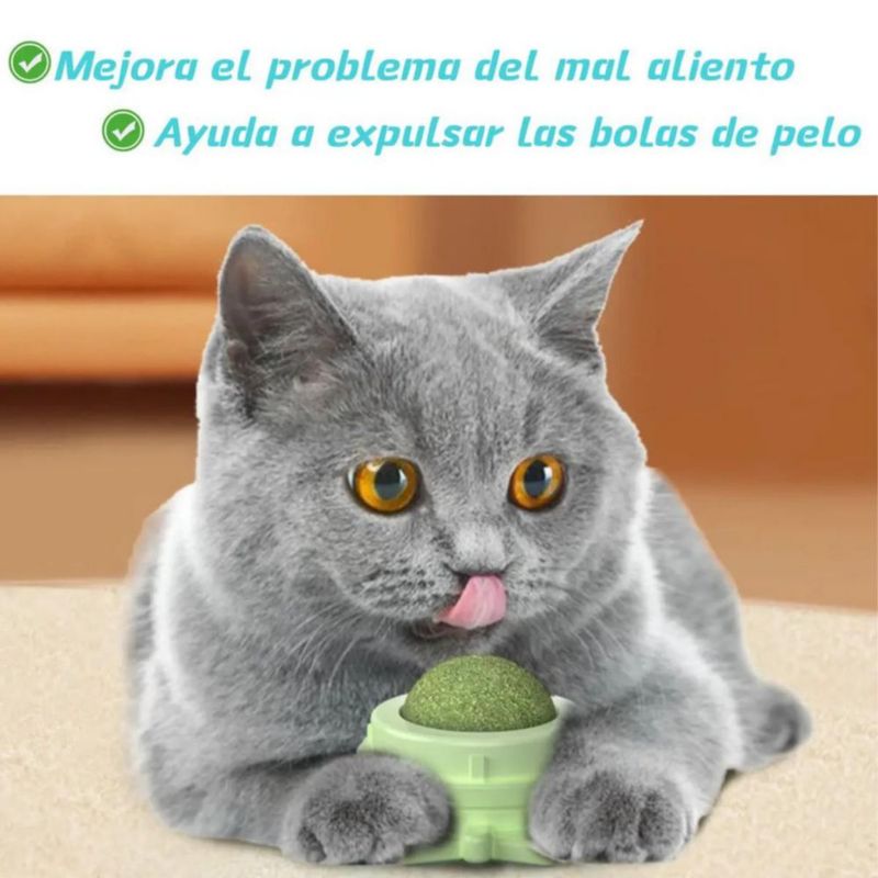 Bola Giratoria Con Hierba Gatera Para Aliviar El Estrés 4 Pzs De Gatos Verde