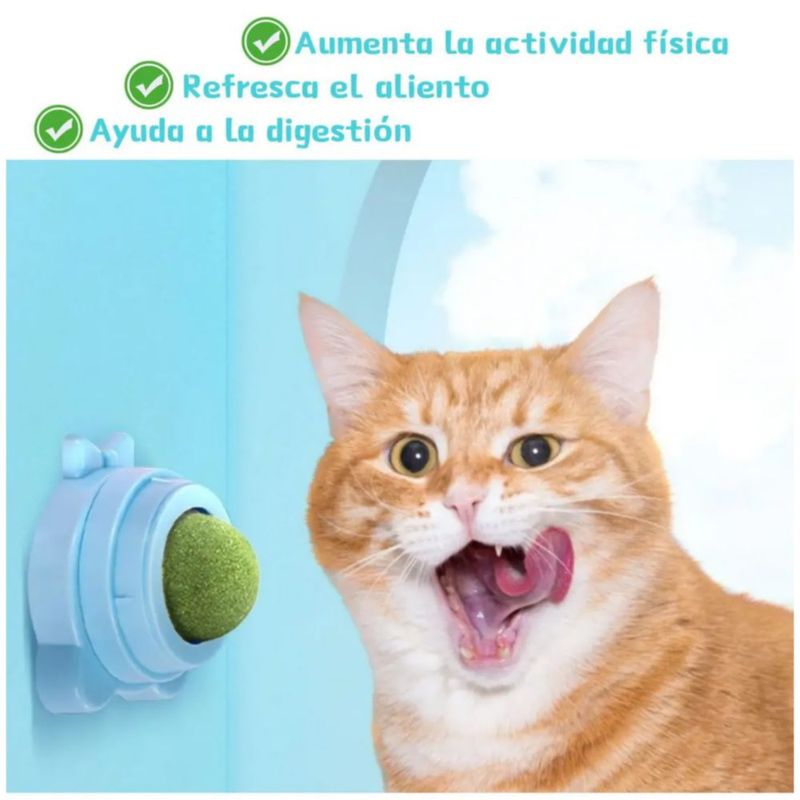 Bola Giratoria Con Hierba Gatera Para Gato Para Aliviar El Estrés De Gatos 4 PZ Color Verde