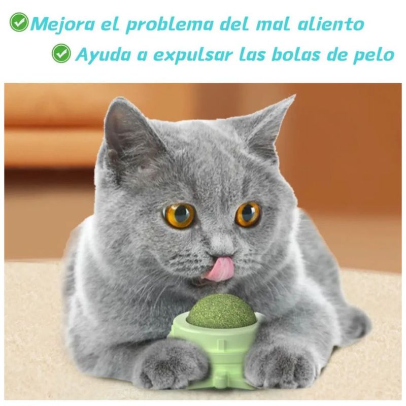 Bola Giratoria Con Hierba Gatera Para Gato Para Aliviar El Estrés De Gatos 4 PZ Color Verde