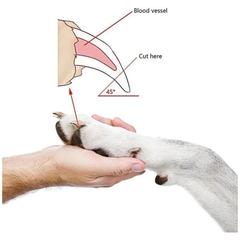 Corta Uñas Para Mascota  + Lima Color Rojo/Plata