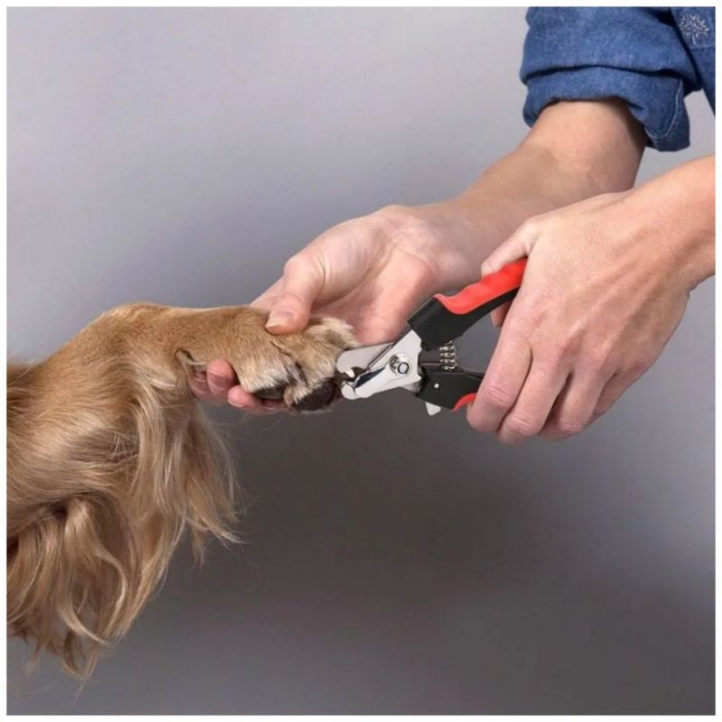 Corta Uñas Para Mascota  + Lima Color Rojo/Plata