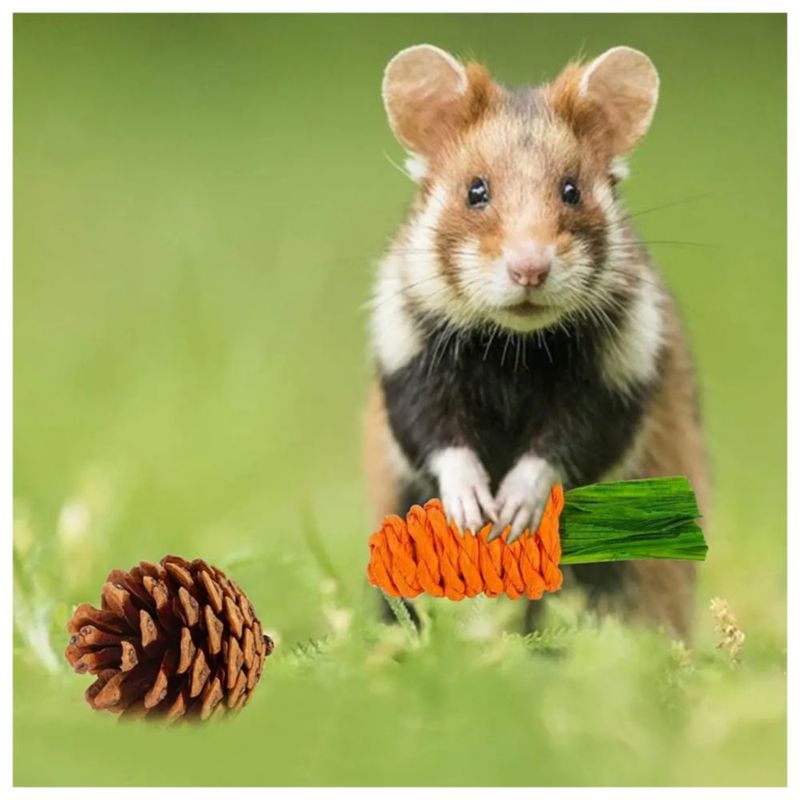 Juego De Juguetes Masticar Para Hámster Conejo Mascota 10pzs Madera