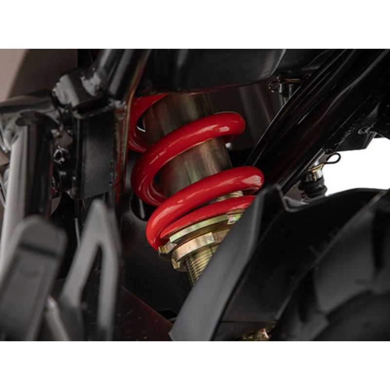 Motocicleta Italika Firebird 300 Negra con GPS