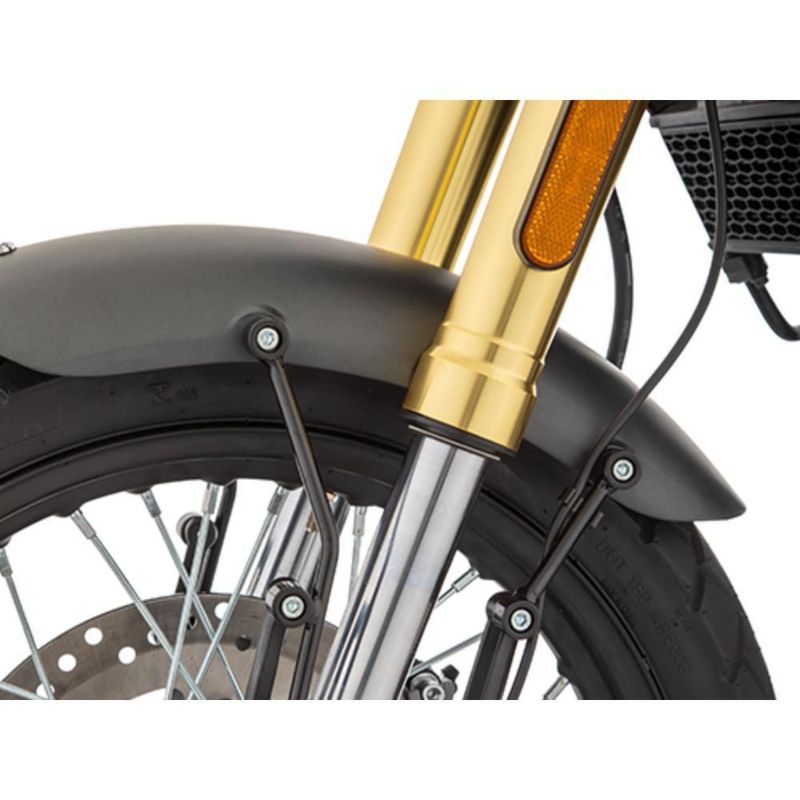 Motocicleta Italika Firebird 300 Negra con GPS