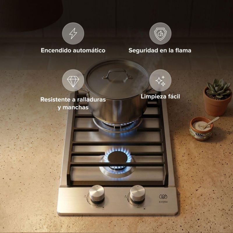 Parrilla de gas 2 Quemadores Acero Inoxidable 31cm AVERA AI2