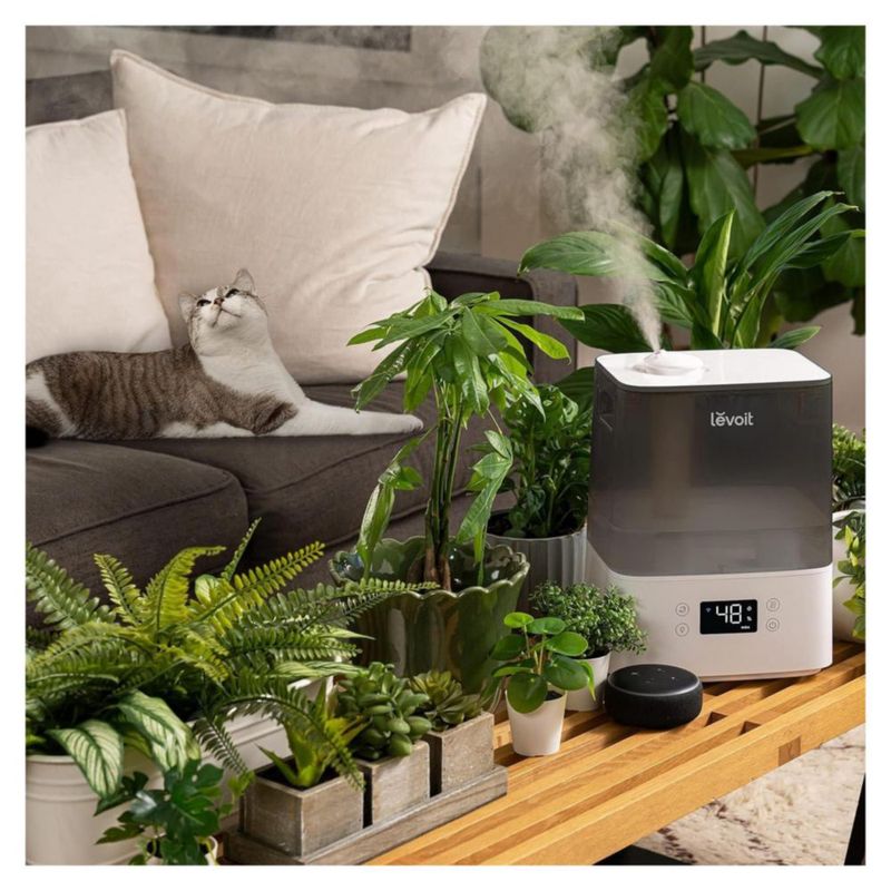 LEVOIT Humidificador ultrasónico inteligente de 6L, Classic 300S con control por APP y Alexa, modo de suspensión y automático, ultrasilencioso