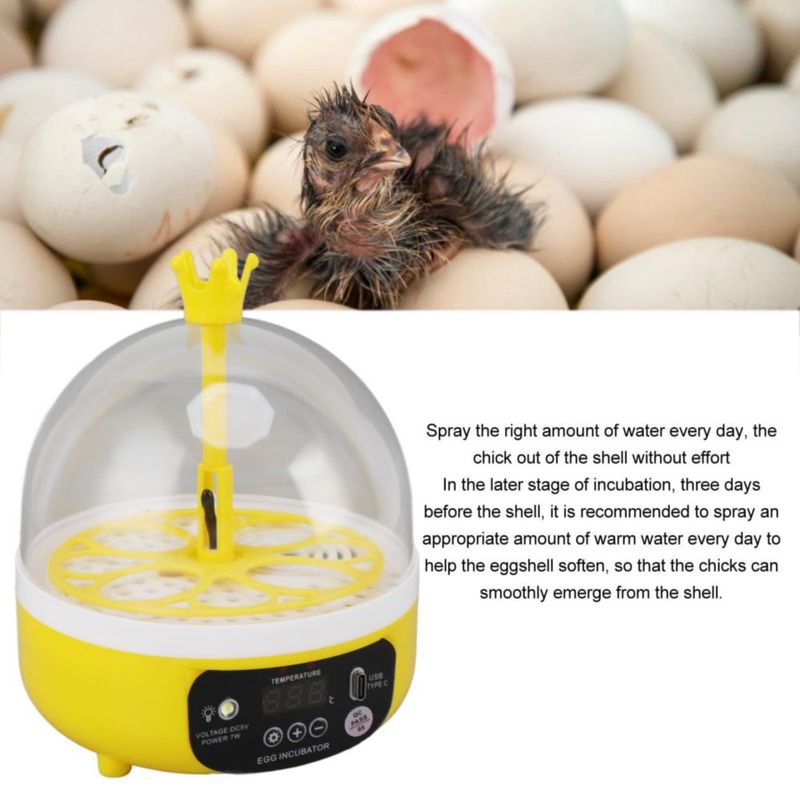 Incubadora de Huevos, Control Automático de Humedad y Temperatura, Máquina para Incubar Aves de Corral, ABS para la Escuela (aut