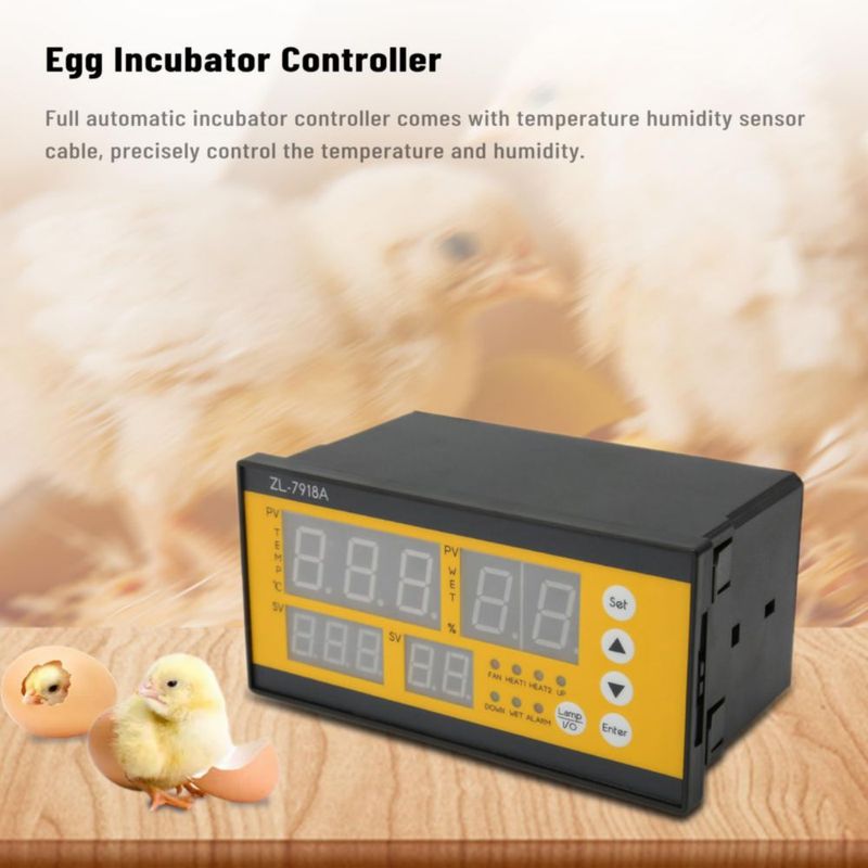 EBTOOLS Controlador de Incubadora de Huevos, Termostato con Control Automático Completo con Sonda de Temperatura y Humedad, para