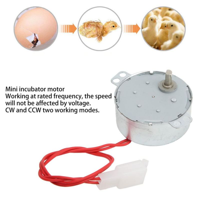 Fydun Motor de Incubadora Automática, Mini Equipo CW de Rotación de Huevos de Baja Velocidad de Modo Dual CCW 110V (110V)