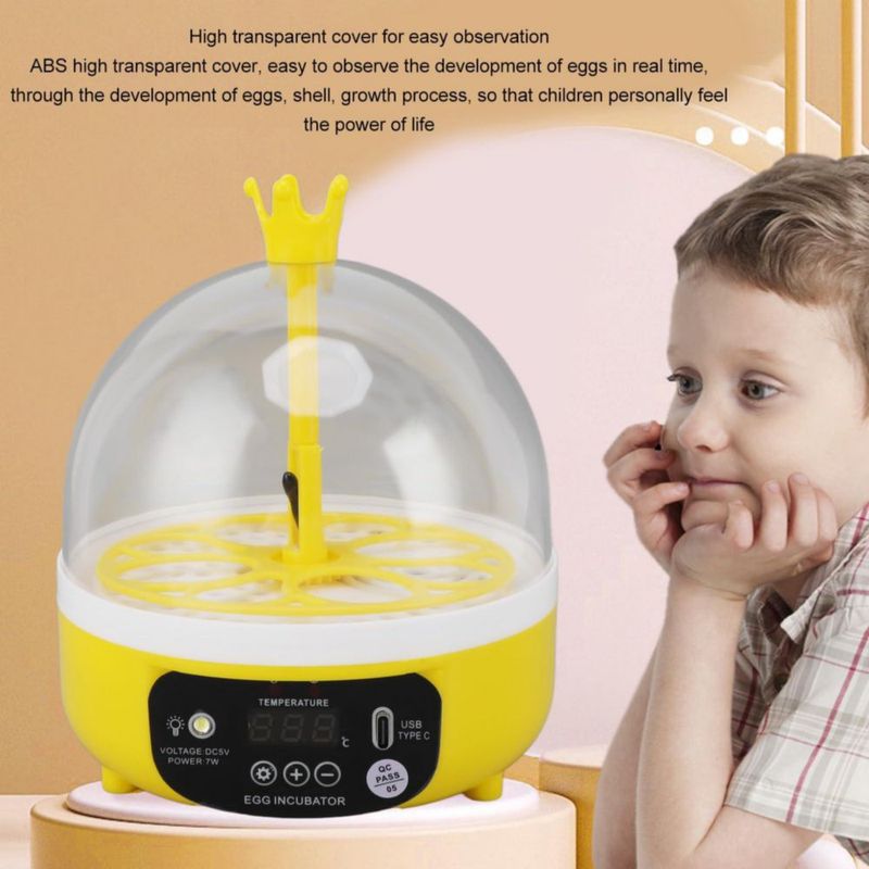 Walfront Mini Incubadora de Huevos Tapa Transparente Automática, Multifuncional para Eclosión de Patos y Codornices, Diseño Comp