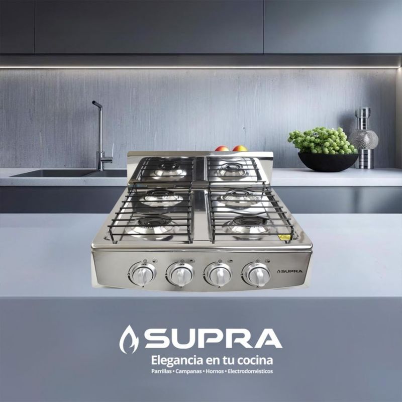 Parrilla a gas LP 4Q-TITAN SILVER