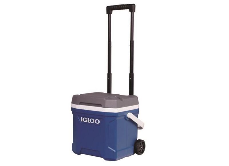 Igloo Latitude 00034825 Rodillo (Azul índigo. Wht.M-Gris.Wht) 00034825