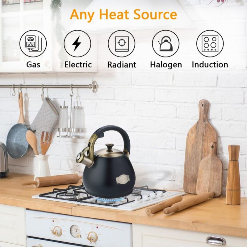 Hervidor de té Lazneyru 3 L con silbido de acero inoxidable para cocina