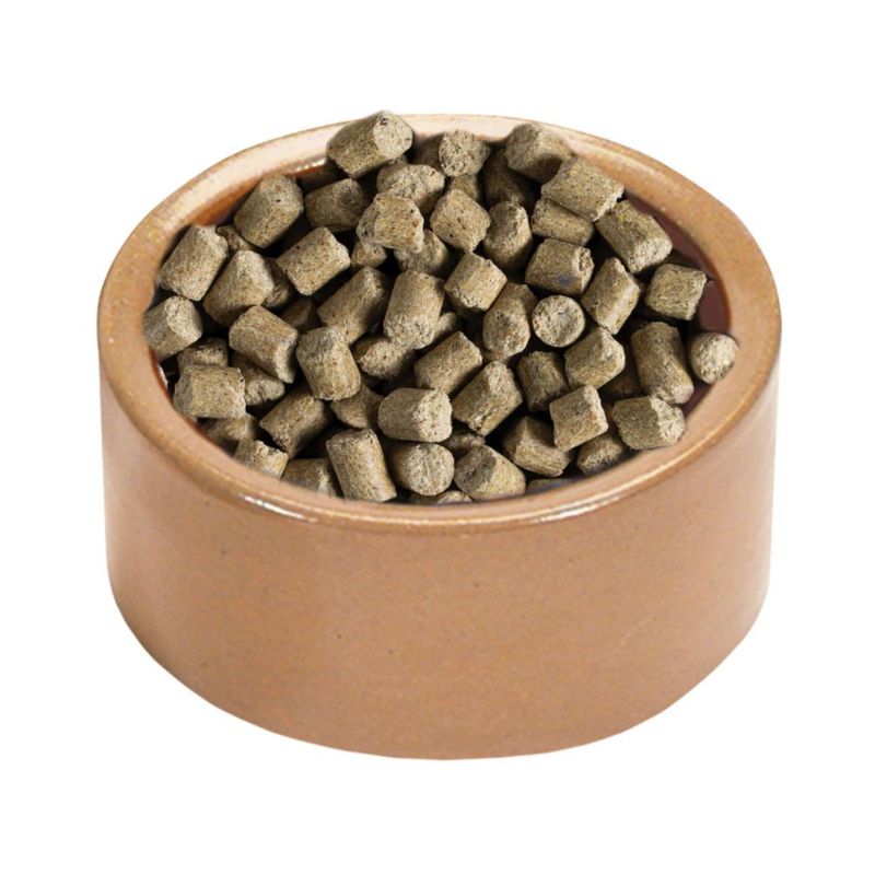 Cuenco para hámster Kaytee 13 cm marrón cerámico