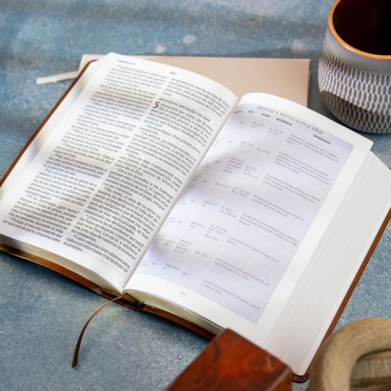 Biblia B&H Español RVR 1960 Gran Letra Tapa Marrón