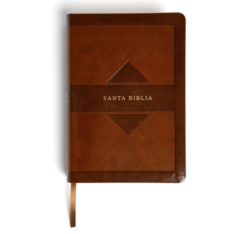 Biblia B&H Español RVR 1960 Gran Letra Tapa Marrón