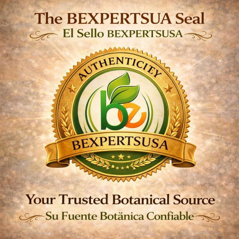Té de hierbas B-Experts Ortiga 113 g natural sin cafeína