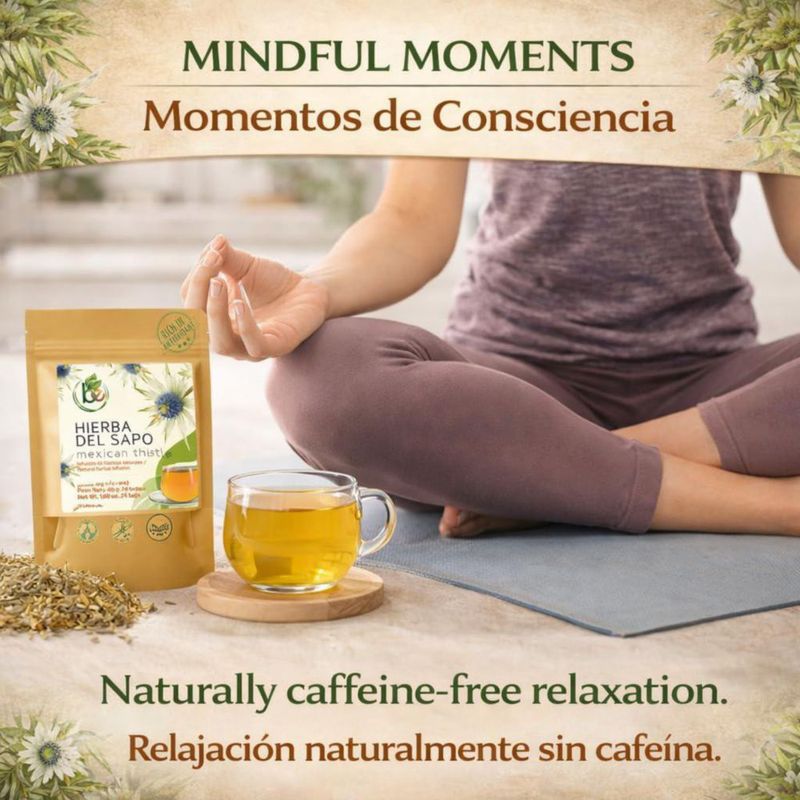 Té de hierbas B-Experts Hierba del Sapo 24 sobres 2000 mg