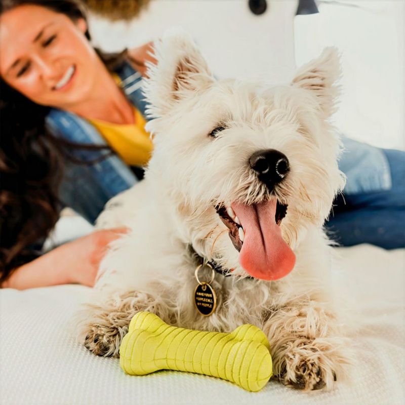 Juguete de Masticar para Perro Playology Mediano - Variedad de Aromas