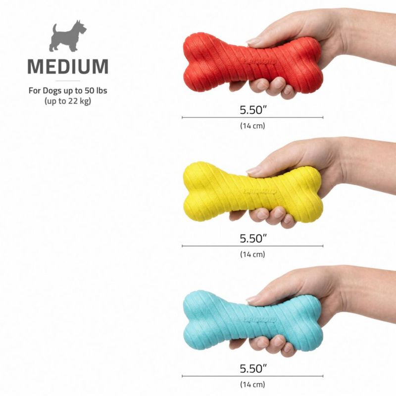 Juguete de Masticar para Perro Playology Mediano - Variedad de Aromas