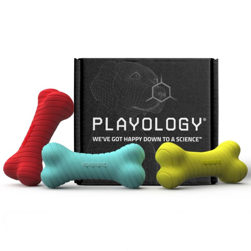 Juguete de Masticar para Perro Playology Mediano - Variedad de Aromas