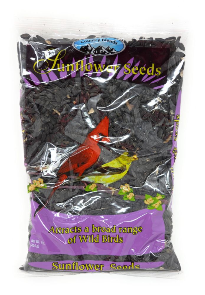 Semillas de girasol negro de aceite Dollaritem 454 g (1 lb)