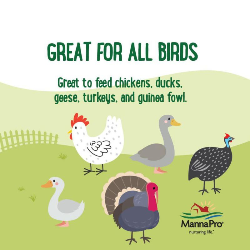 Snack para aves de corral Manna Pro Critter Combo Crunch 907 g