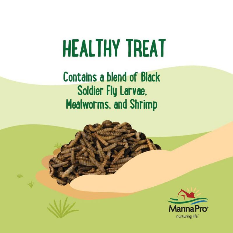 Snack para aves de corral Manna Pro Critter Combo Crunch 907 g