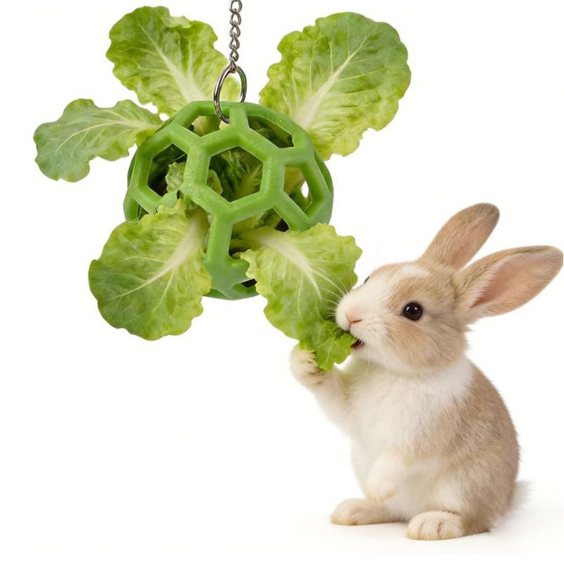 Bola de Premios nsgglecher para Conejo – Enriquecimiento Verde