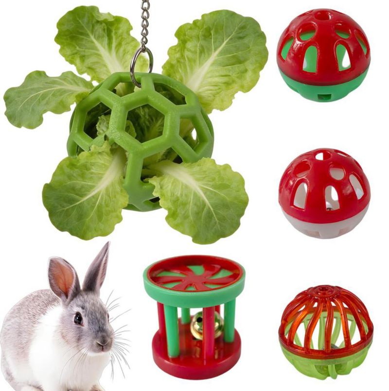 Bola de Premios nsgglecher para Conejo – Enriquecimiento Verde