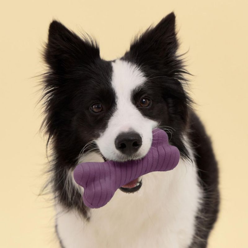 Juguete para Perro Playology Jumbo de 2 Capas con Aroma a Tocino