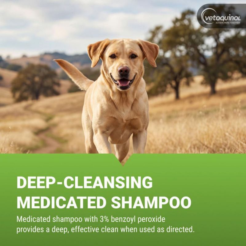 Champú Vetoquinol 38 L BPO‑3 Medicado para Perro Gato y Caballo