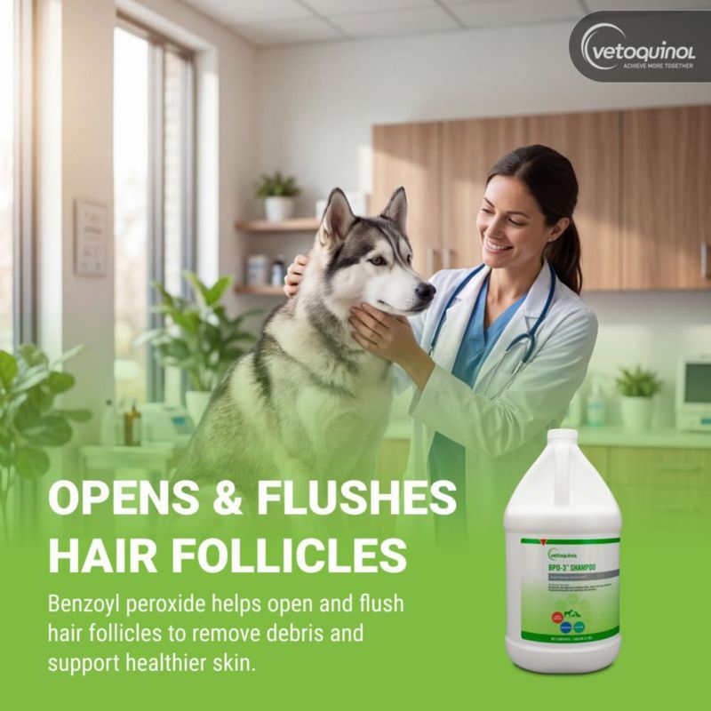 Champú Vetoquinol 38 L BPO‑3 Medicado para Perro Gato y Caballo
