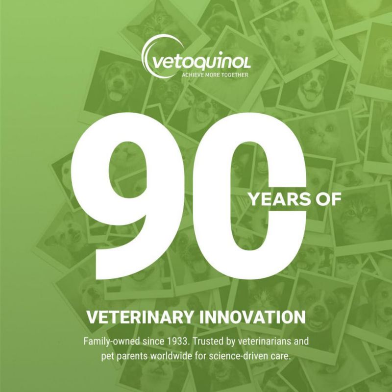 Champú Vetoquinol 38 L BPO‑3 Medicado para Perro Gato y Caballo