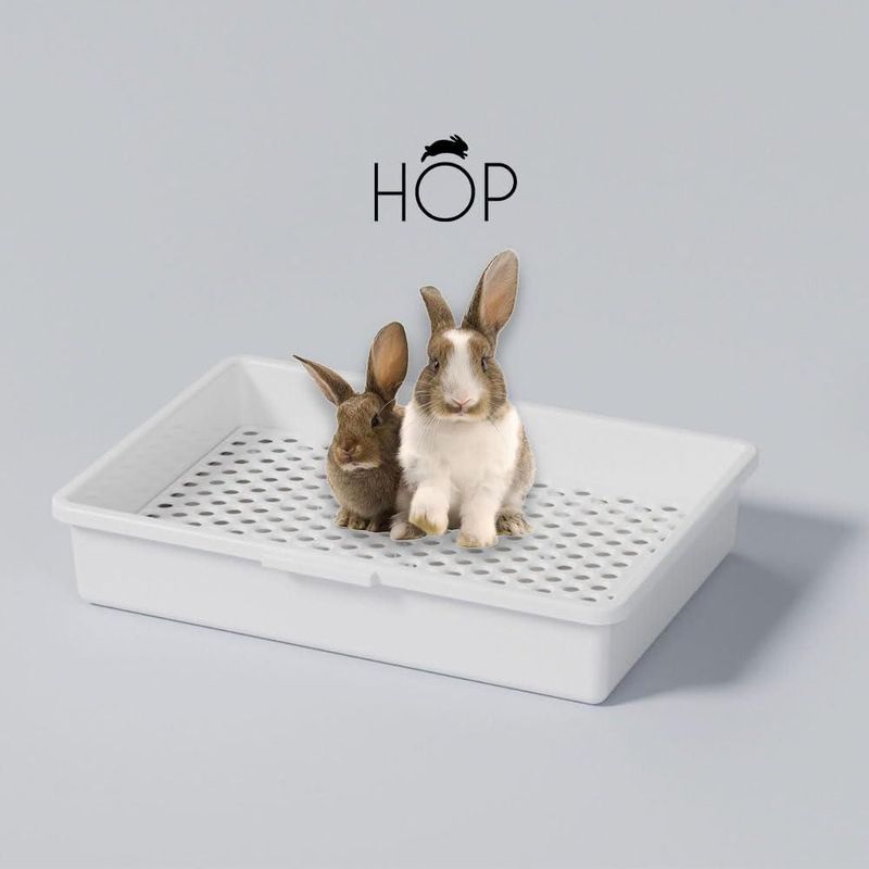 Rejilla para caja de arena HOP 48 × 33 cm agujeros de 13 cm apta para lavavajillas
