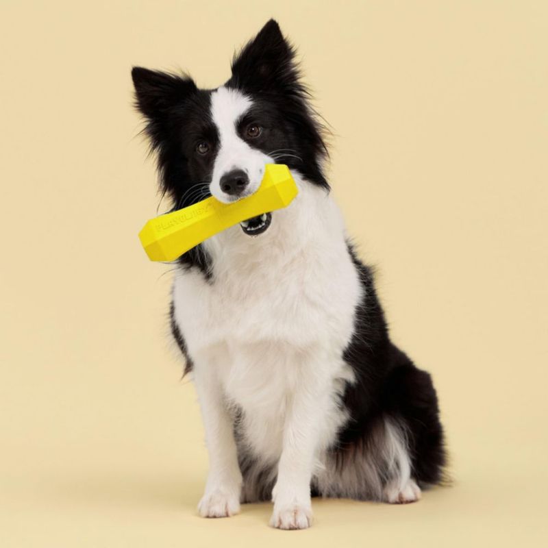Juguete para perro Playology Palo chirriante extra grande con aroma a pollo